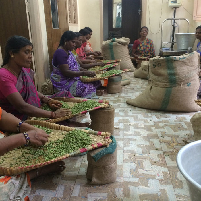 Bodinayakanur - India's Cardamon Capital