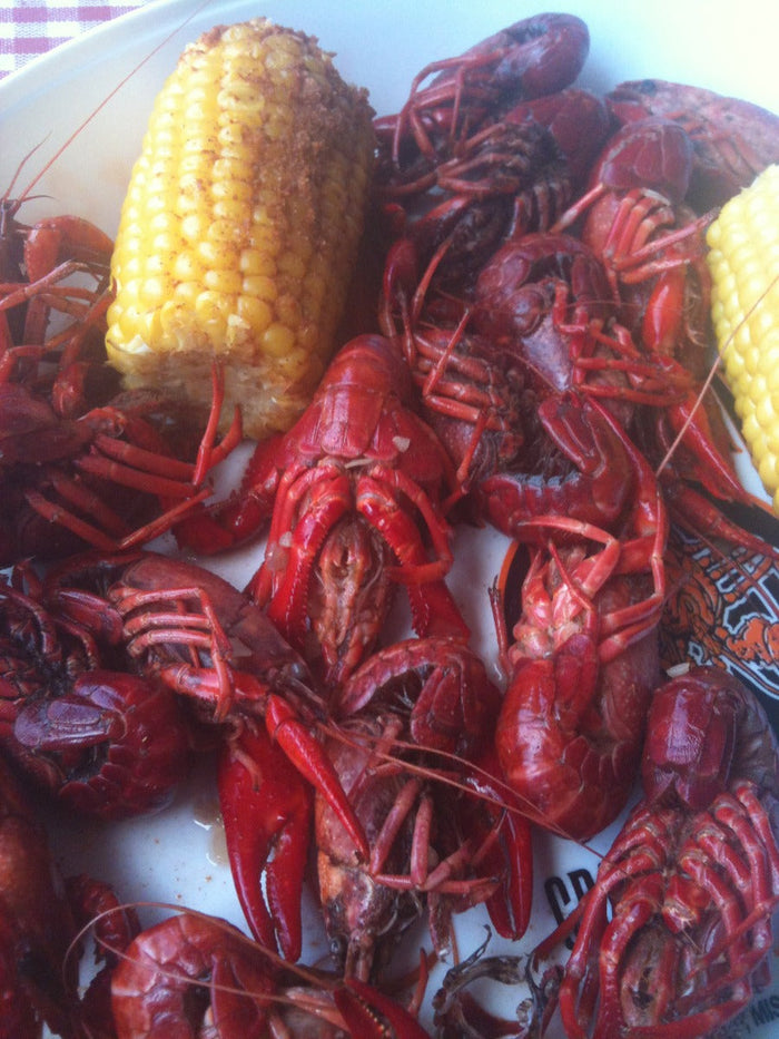 Memphis & the Mississippi Delta