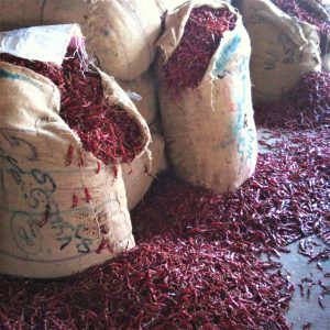 Tung's Top 5 Fiery Chillies