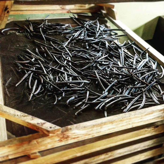 Visiting a Vanilla Plantation in Delicious Mauritius...