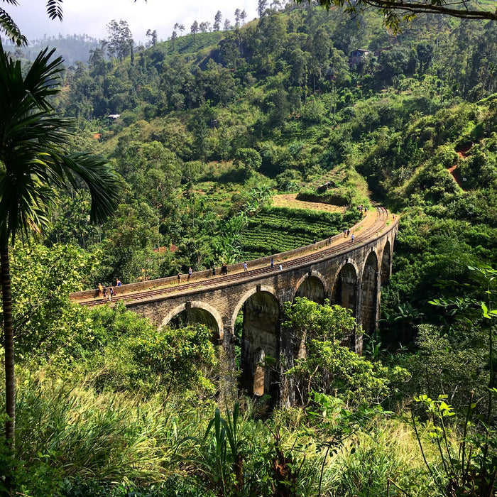 Sri Lanka's Rich And Vibrant Sights, Smells And Tastes