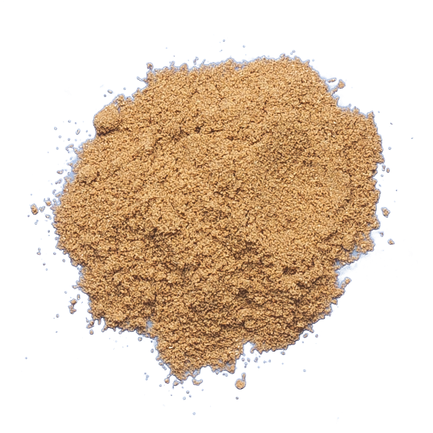 Aniseed