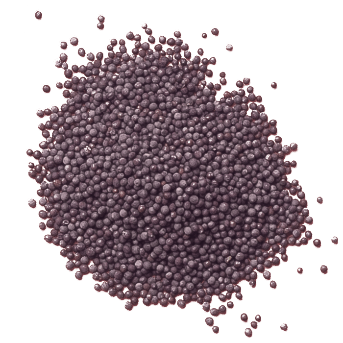 Brown Mustard