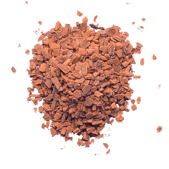 Cassia
