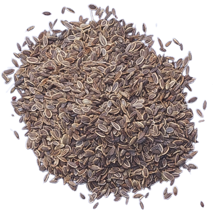 Dill Seeds