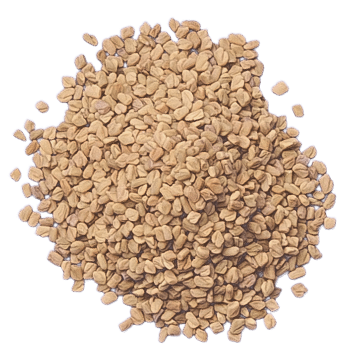 Fenugreek