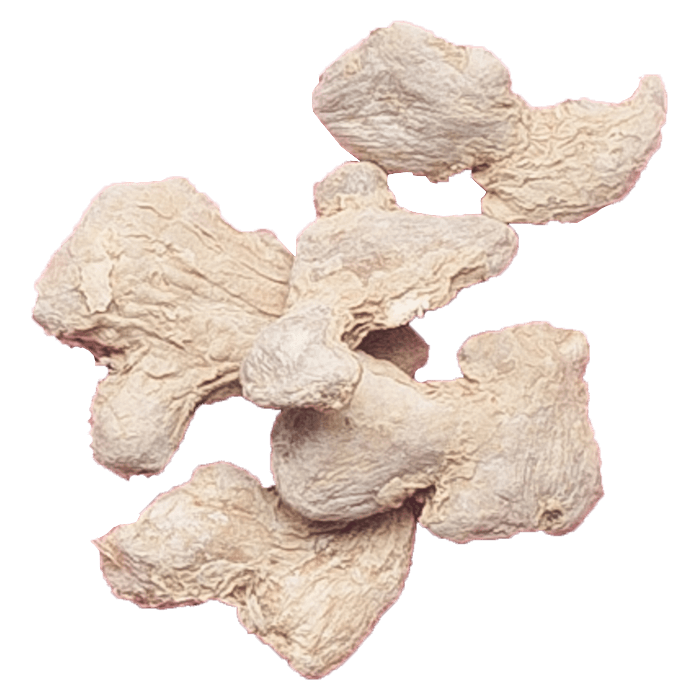 Ginger