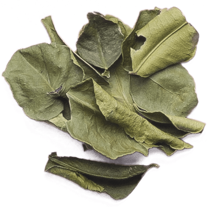 Lime Leaves