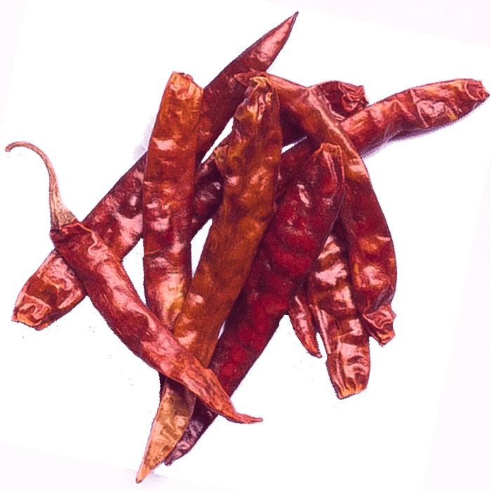 Long Chilli
