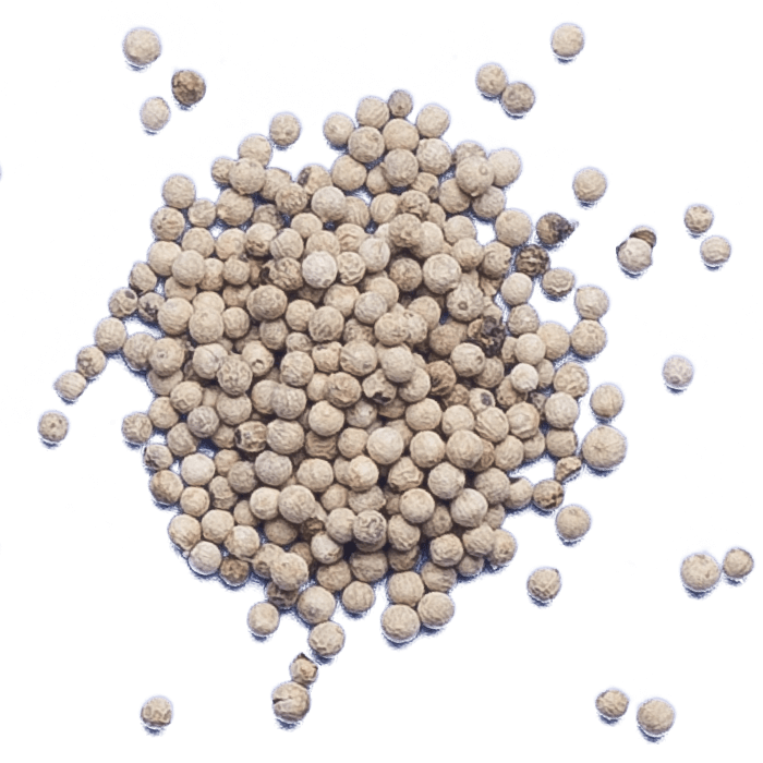 White Pepper