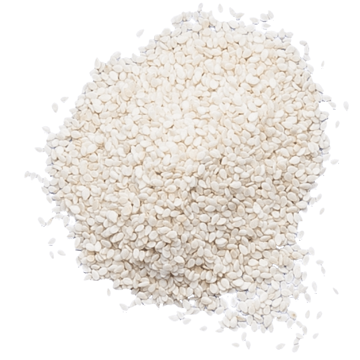Sesame